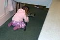 Picture 2523